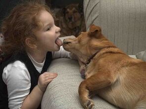 երեխան համբուրում է շանը և վարակվում մակաբույծներով